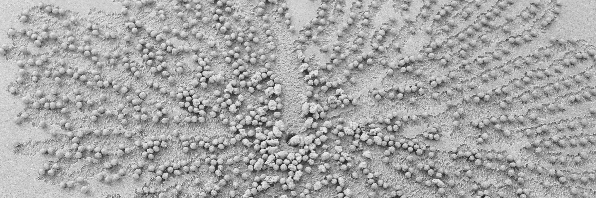 Steph Stammel banner