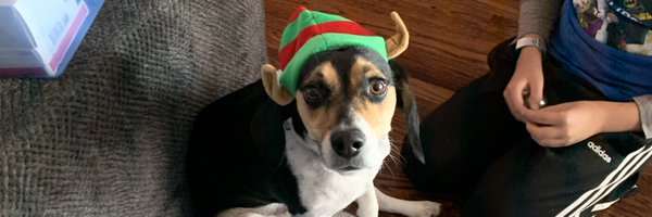 PharmDame Profile Banner