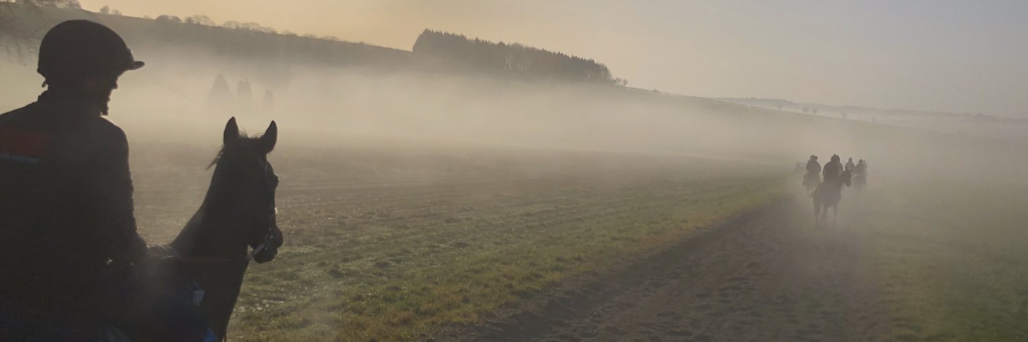Nicky Henderson banner