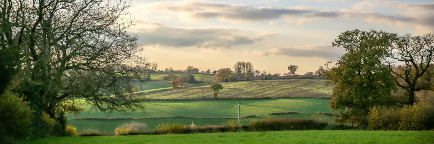 AF (The AF Group) banner