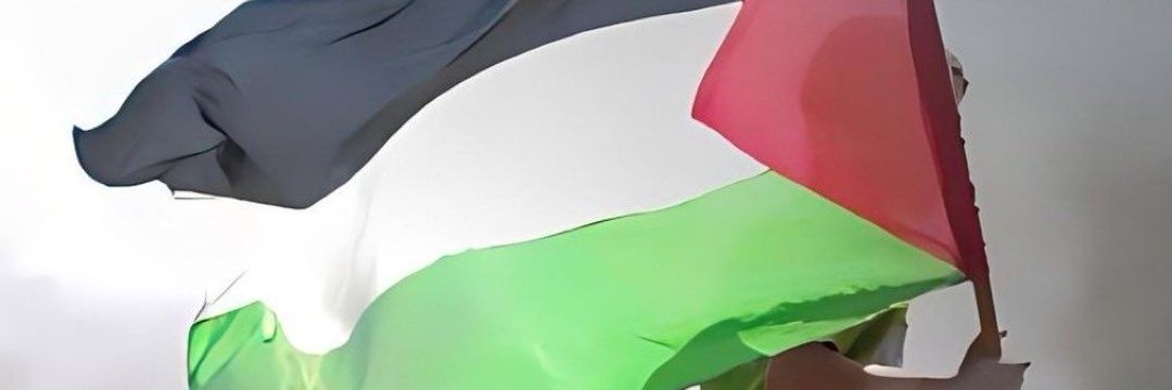 AsmaaAshrafM's profile banner image