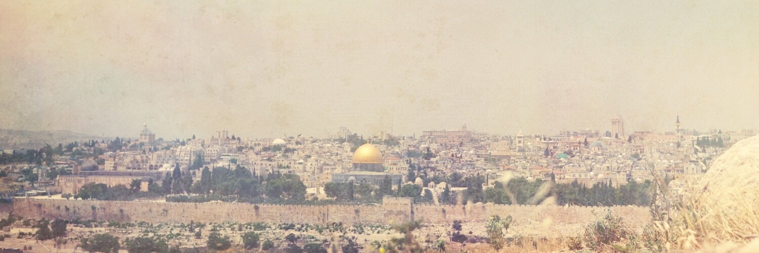 Andres Bisonni banner