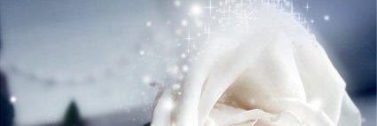 رب اغفرلي وتب علي banner