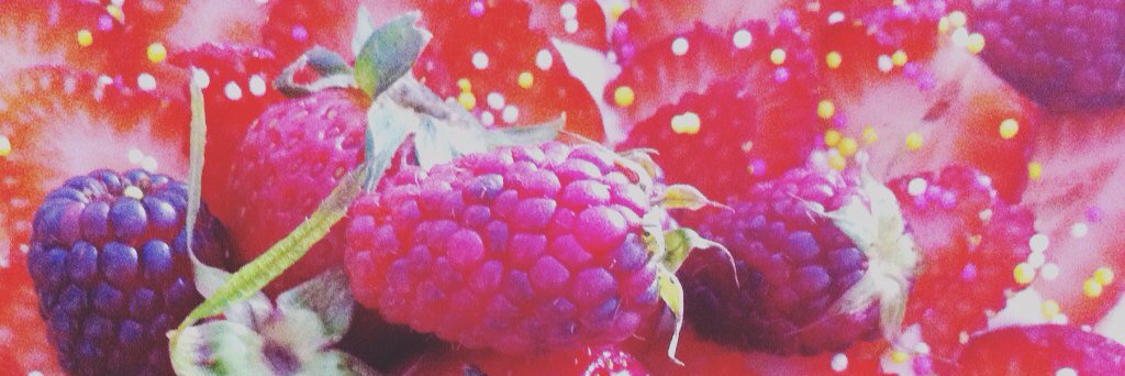 PatagoniaBakery's profile banner image