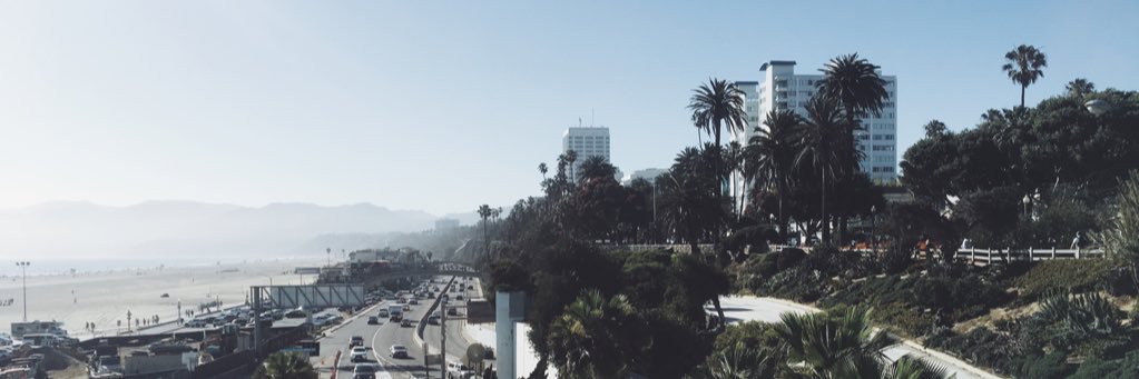 flgrm's profile banner image