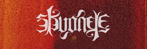 skyoneye Profile Banner