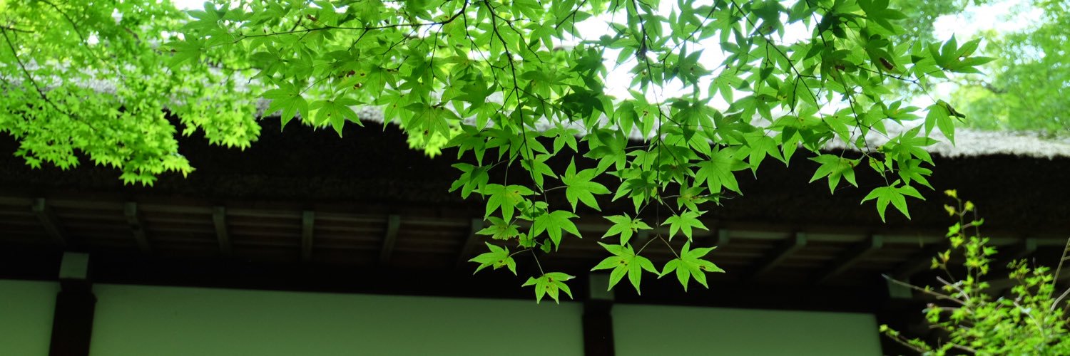 boraco_'s profile banner image