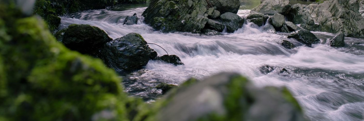 かもねぎ banner