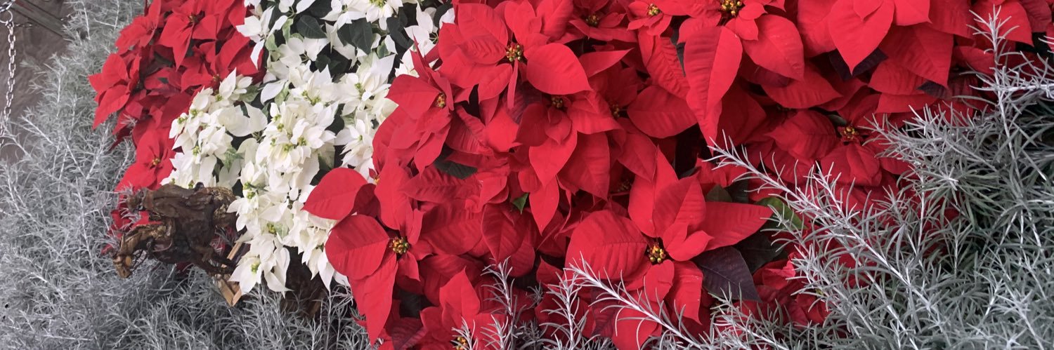 Pushpinder Rana banner