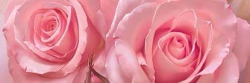 Elisa_Fe_Pe's profile banner image