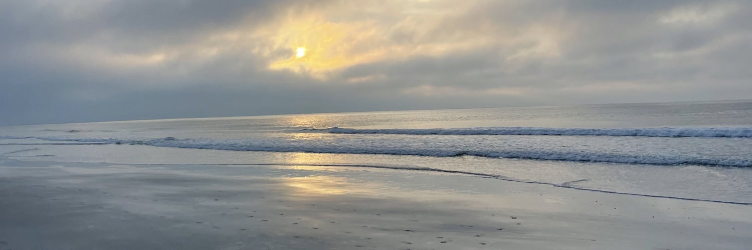 Caley_Wood's profile banner image
