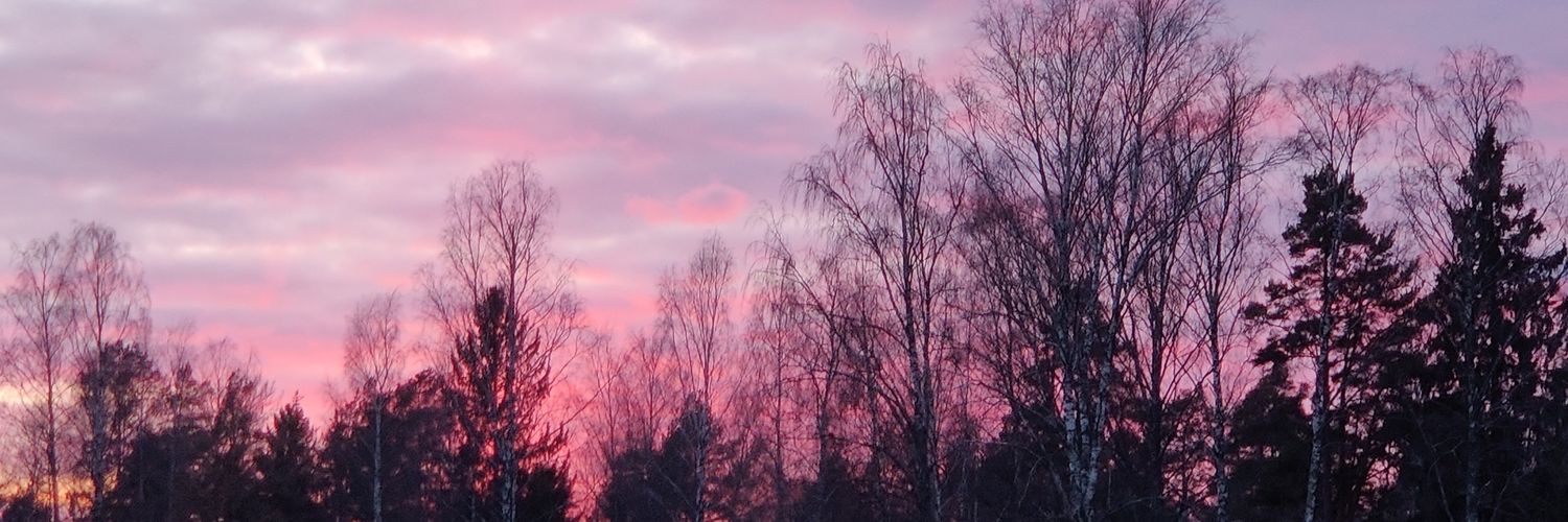 siniriihimaki's profile banner image