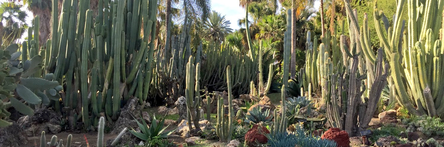 Sammie Lammond banner