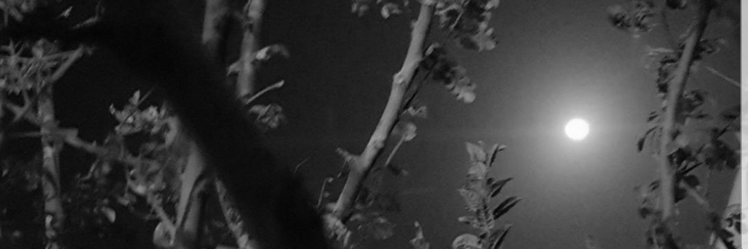 6_mnair's profile banner image