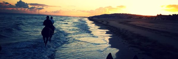 julieh_ Profile Banner