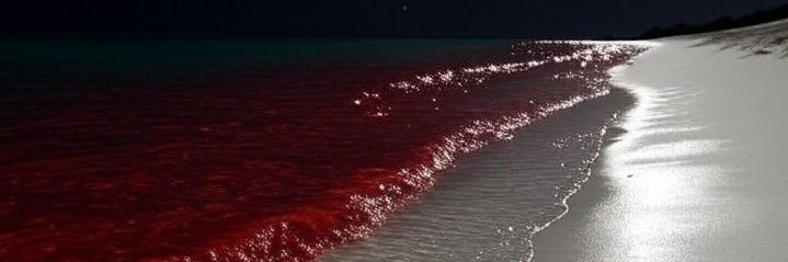 Abyssal Capital ☯️ banner