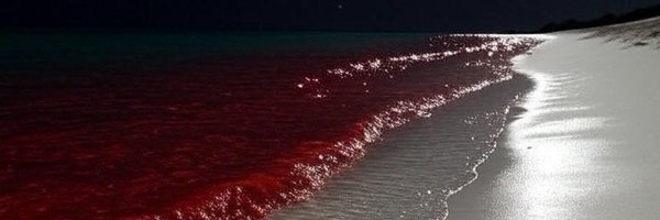 LolFnanceTweets Profile Banner