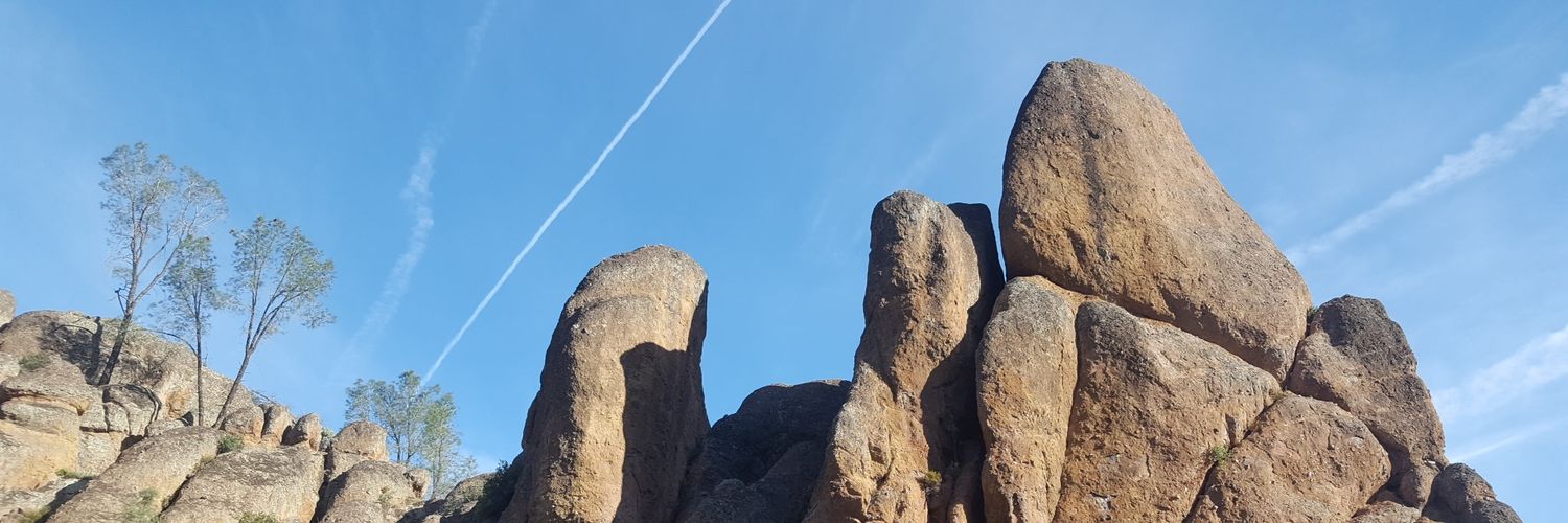 JanacqueE's profile banner image