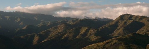 FalconCoffees Profile Banner