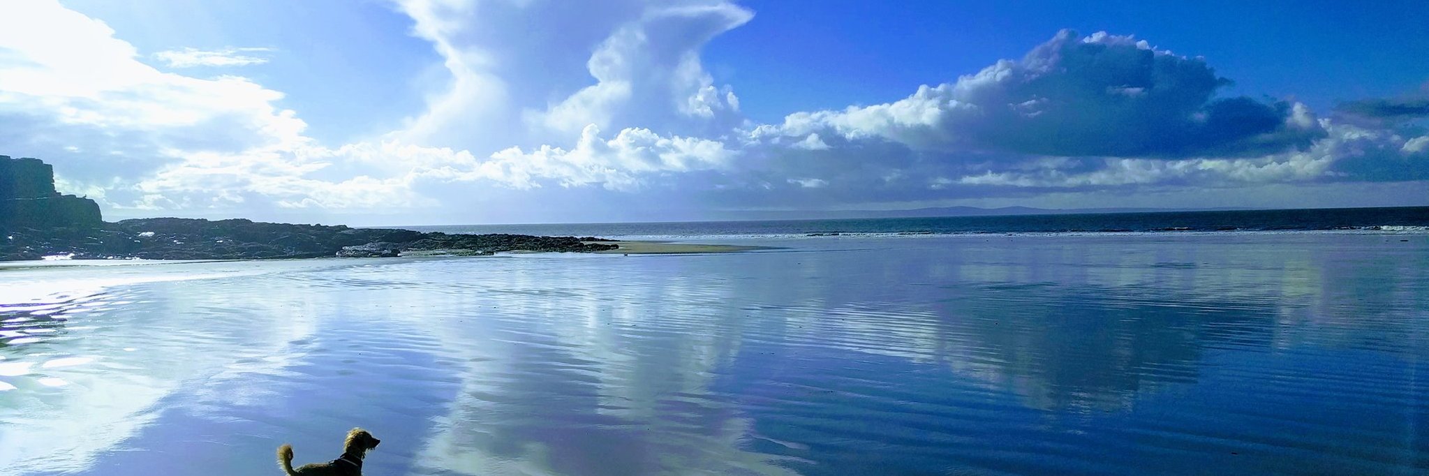 Dave　デイブ　✌🏻 banner