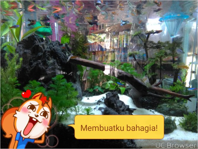 SagaSangit's profile banner image