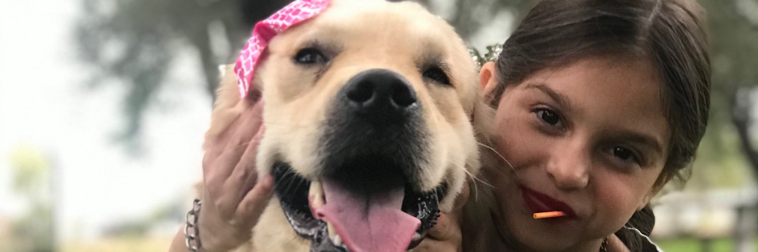 MagaSimonn's profile banner image