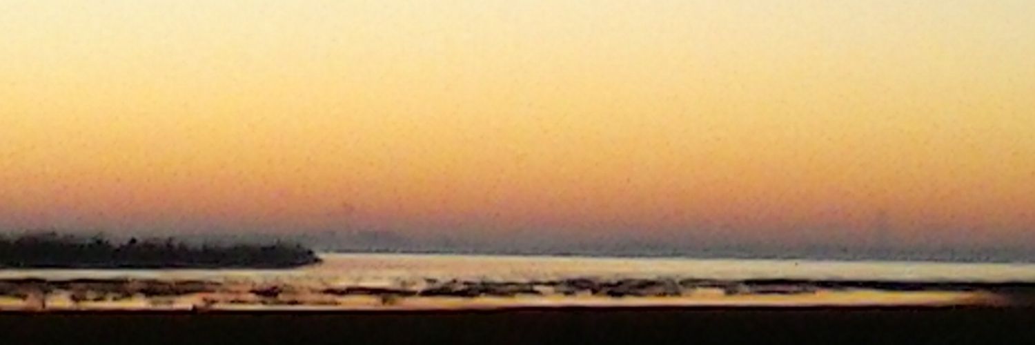 abnormiscarpe's profile banner image