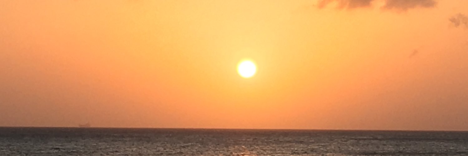 Wiijo's profile banner image