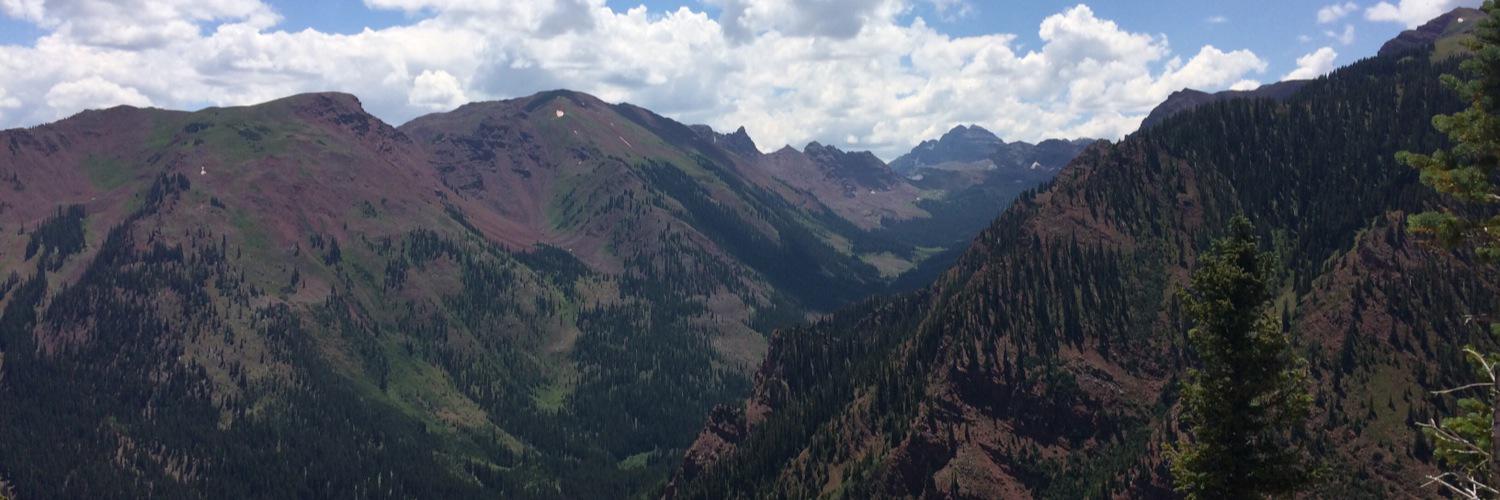 Stan Grossman banner