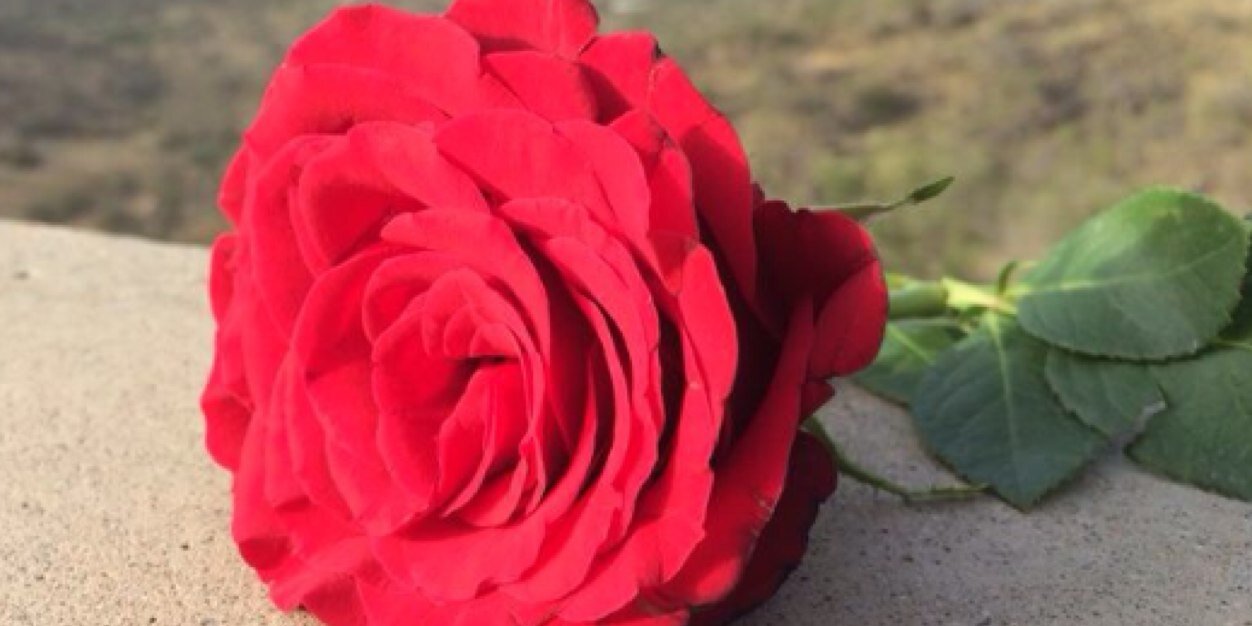 Manar banner