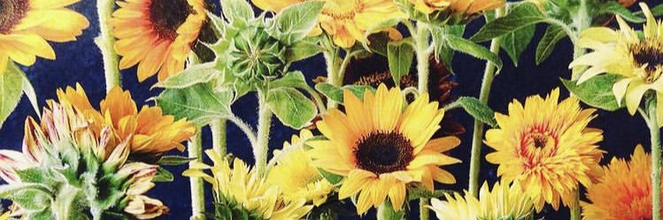 chiromihi's profile banner image