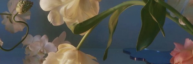 Laura_Esprit's profile banner image