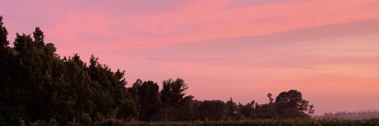 Ash_Clanton's profile banner image
