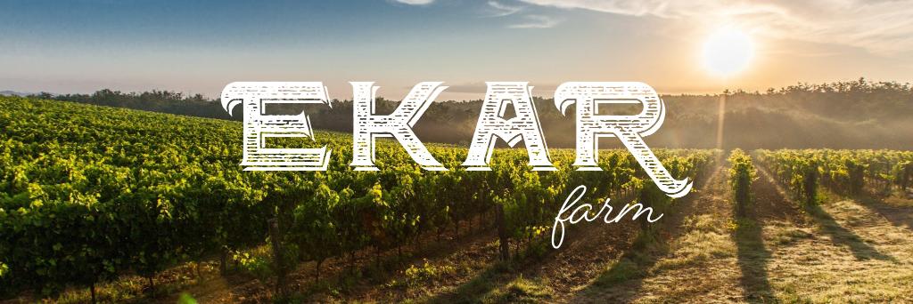 EKARFARM's profile banner image