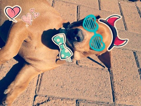 blapzzz's profile banner image