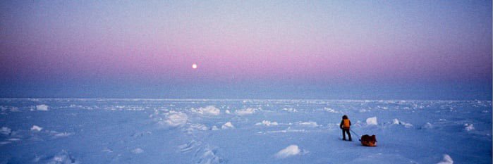 Alex Svanevik 🐧 banner