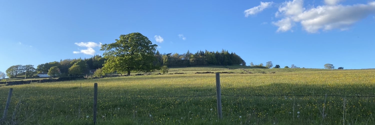 lorna dangerfield banner