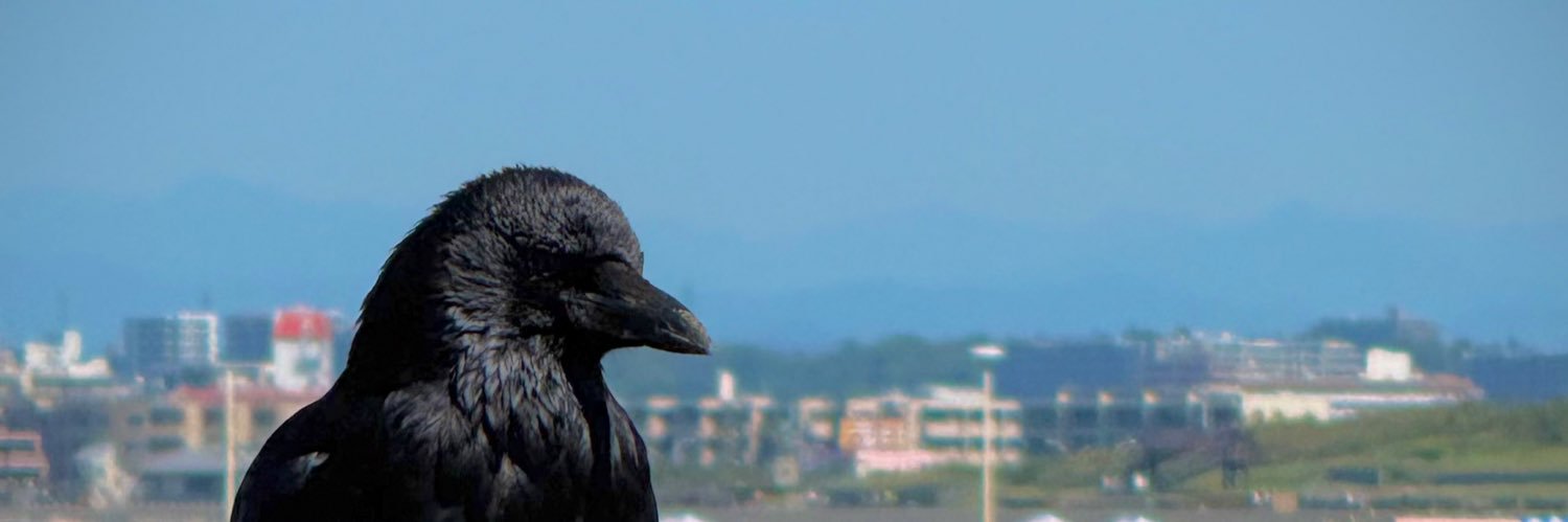 can0n2's profile banner image