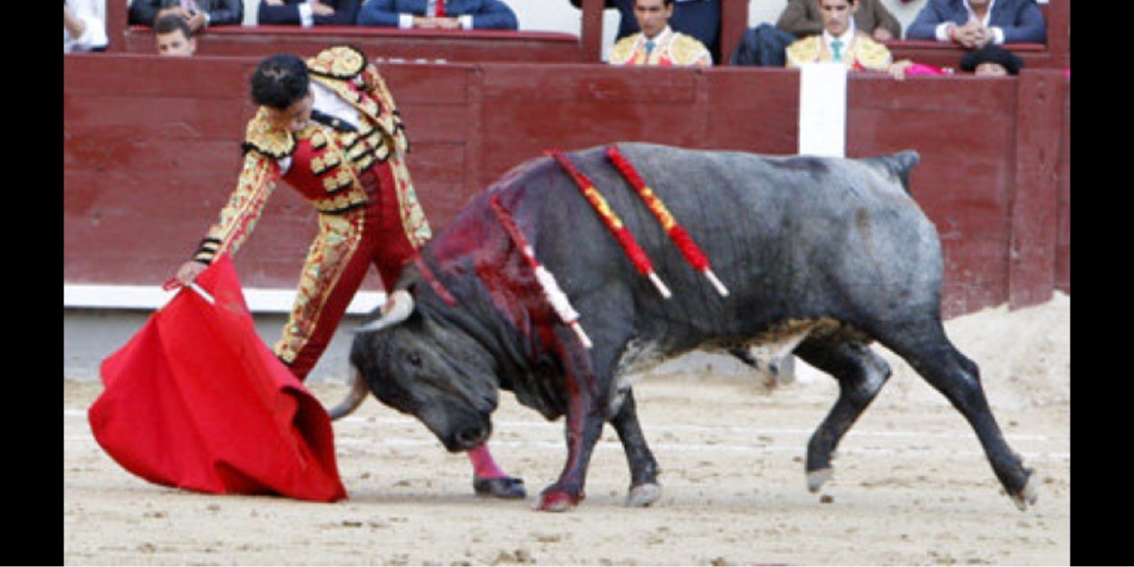 alejandro parralo banner