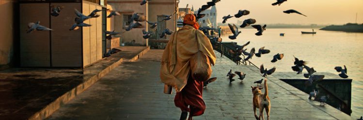 rosom_y's profile banner image