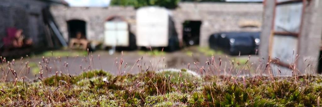 Joseph Keating 🇮🇪 banner