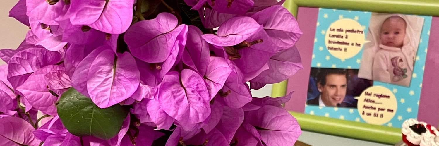 LorloreLorella's profile banner image