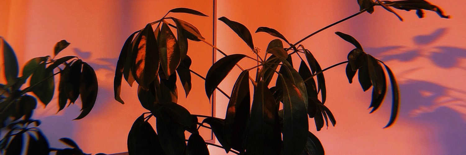 MaggieBruk's profile banner image