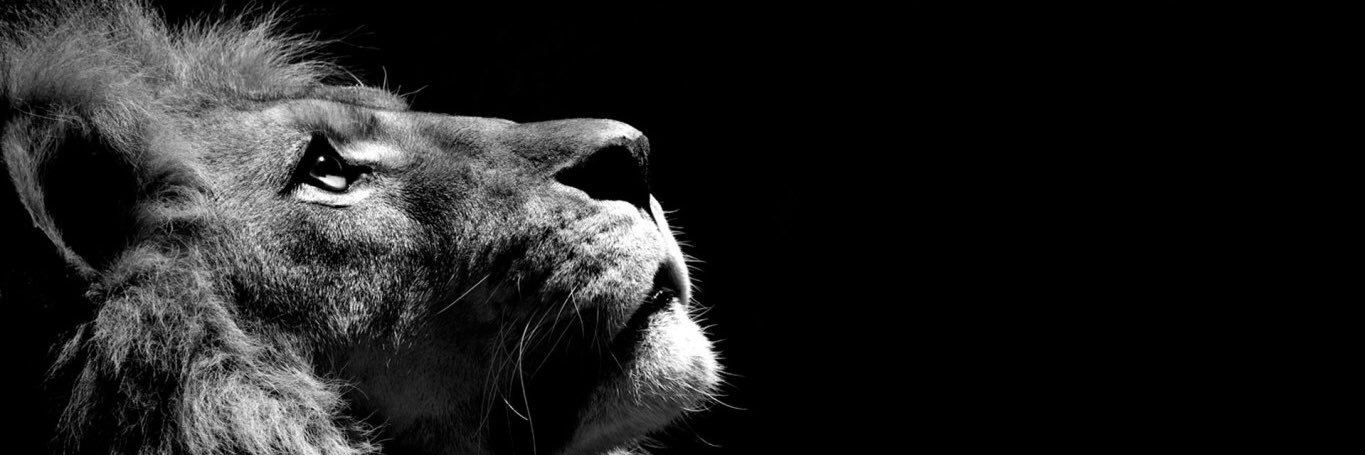 jacknormanton's profile banner image