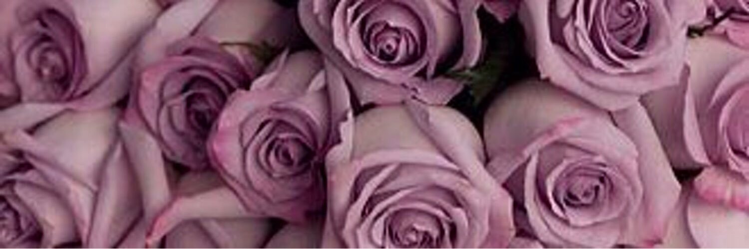 siwar220's profile banner image