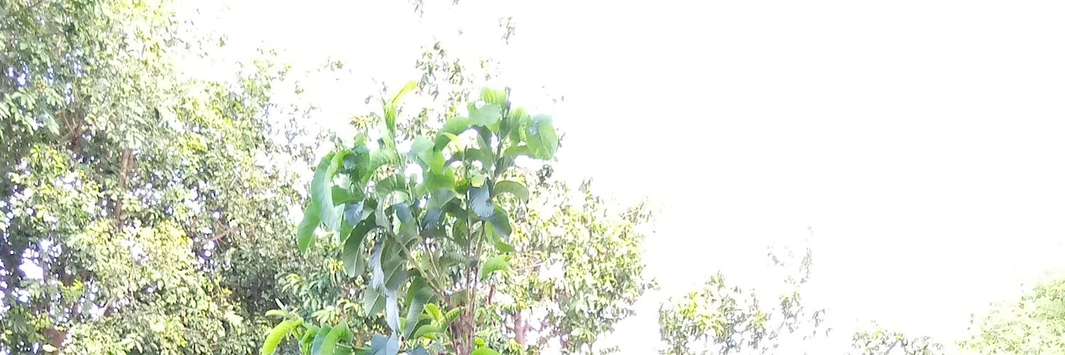 MapuaFedriq's profile banner image