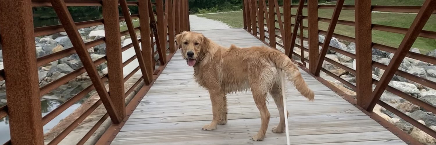 taradriverr's profile banner image