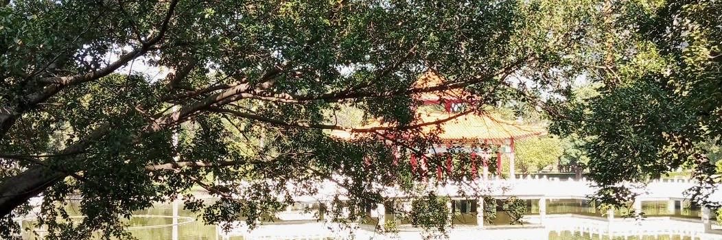 ohissa763339's profile banner image