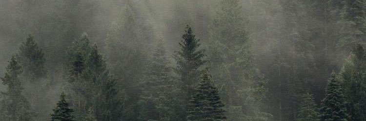 Kyran_Valley's profile banner image