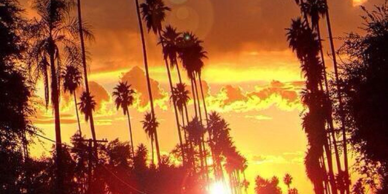 FlaBreed__'s profile banner image